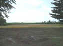 nohouse03.jpg (27198 bytes)